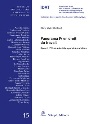 cover image of Panorama IV en droit du travail